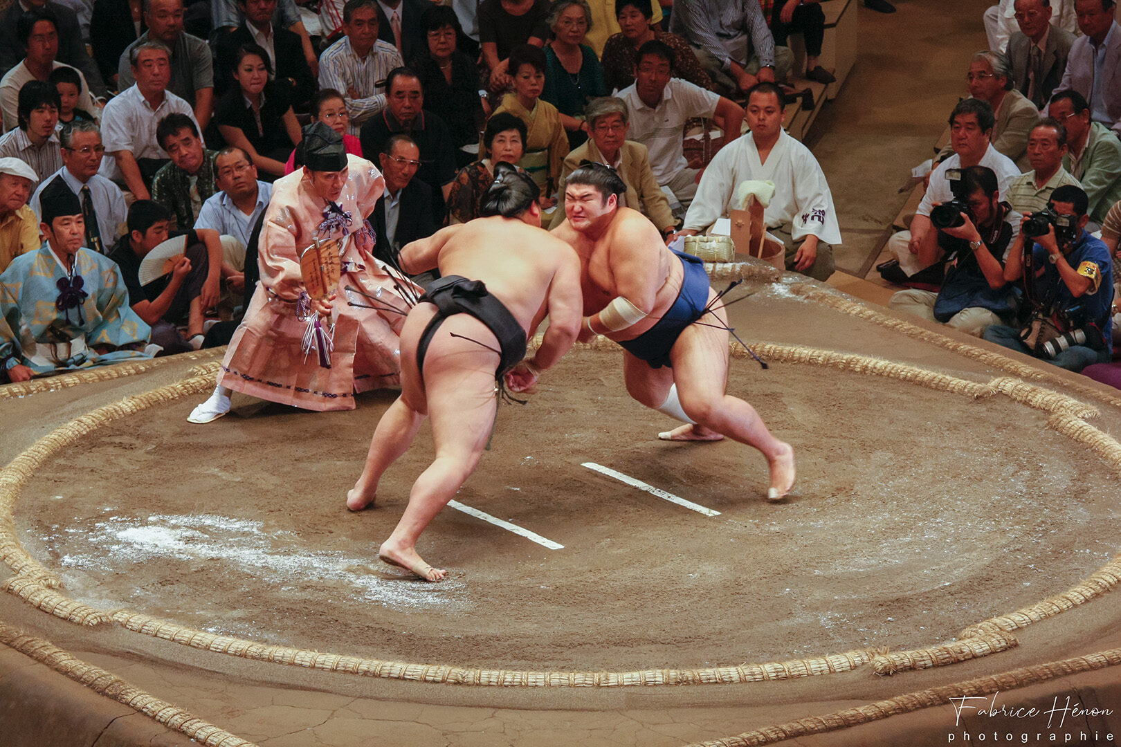 Sumo sumotori